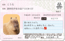 Daydream Labのプレスリリース画像11