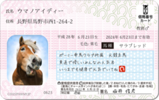 Daydream Labのプレスリリース画像3