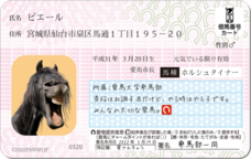 Daydream Labのプレスリリース画像4