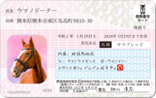 Daydream Labのプレスリリース画像10