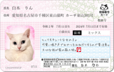 Daydream Labのプレスリリース画像4