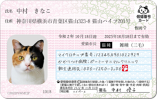 Daydream Labのプレスリリース画像1