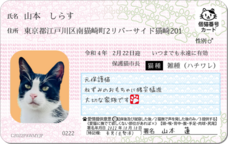 Daydream Labのプレスリリース画像9