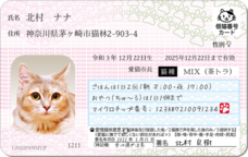 Daydream Labのプレスリリース画像3