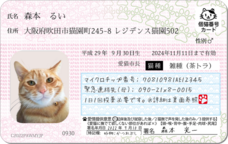 Daydream Labのプレスリリース画像5