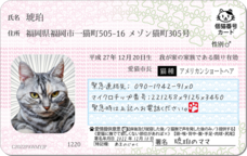 Daydream Labのプレスリリース画像10