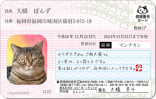 Daydream Labのプレスリリース画像7