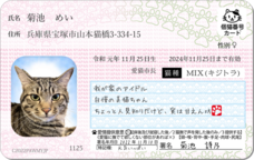 Daydream Labのプレスリリース画像6