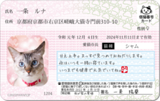 Daydream Labのプレスリリース画像8