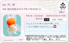 Daydream Labのプレスリリース画像14