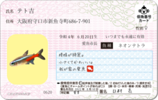 Daydream Labのプレスリリース画像12