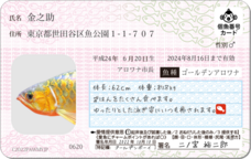 Daydream Labのプレスリリース画像11