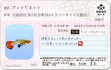Daydream Labのプレスリリース画像7