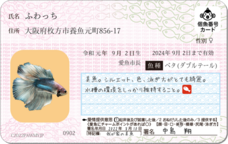 Daydream Labのプレスリリース画像6