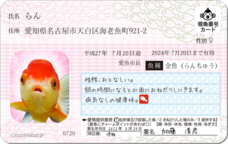 Daydream Labのプレスリリース画像2