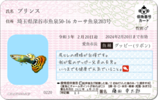 Daydream Labのプレスリリース画像15