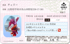 Daydream Labのプレスリリース画像9