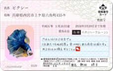 Daydream Labのプレスリリース画像3