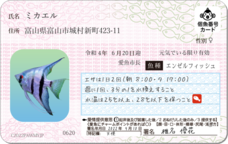 Daydream Labのプレスリリース画像13