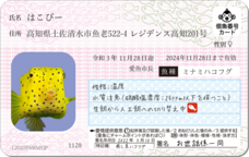 Daydream Labのプレスリリース画像5