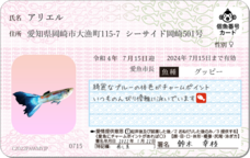 Daydream Labのプレスリリース画像8