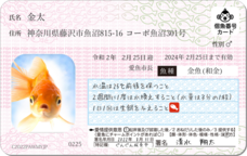 Daydream Labのプレスリリース画像1