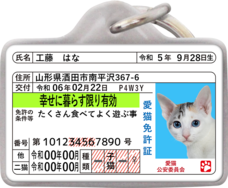 Daydream Labのプレスリリース画像6
