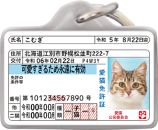 Daydream Labのプレスリリース画像12