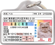 Daydream Labのプレスリリース画像13