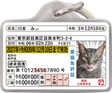 Daydream Labのプレスリリース画像14