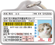 Daydream Labのプレスリリース画像15