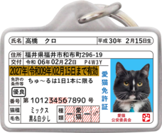 Daydream Labのプレスリリース画像5