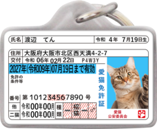 Daydream Labのプレスリリース画像4