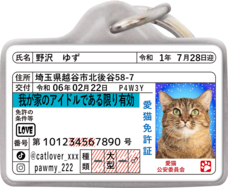 Daydream Labのプレスリリース画像11