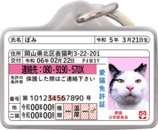 Daydream Labのプレスリリース画像9