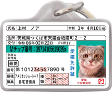 Daydream Labのプレスリリース画像8