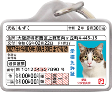 Daydream Labのプレスリリース画像10