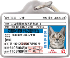 Daydream Labのプレスリリース画像7