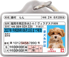 Daydream Labのプレスリリース画像4