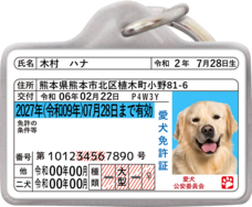 Daydream Labのプレスリリース画像1