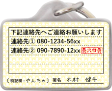 Daydream Labのプレスリリース画像3