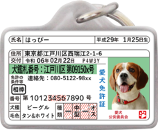 Daydream Labのプレスリリース画像18