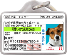 Daydream Labのプレスリリース画像11