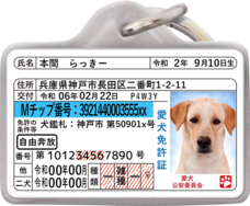 Daydream Labのプレスリリース画像10