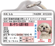 Daydream Labのプレスリリース画像7