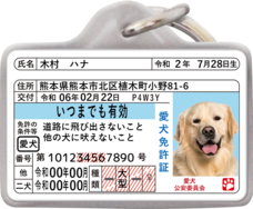 Daydream Labのプレスリリース画像20