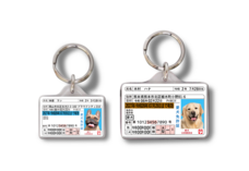 Daydream Labのプレスリリース画像13