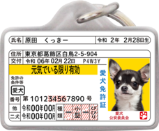 Daydream Labのプレスリリース画像9