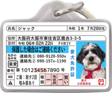 Daydream Labのプレスリリース画像16