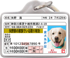 Daydream Labのプレスリリース画像8